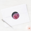 Search for background wedding stickers Beautiful