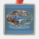 Search for blue jay christmas tree decorations Animal