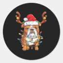 Search for funny english bulldog stickers Wolf