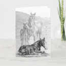 Search for foal cards Equestrian
