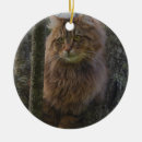 Search for maine coon cat christmas tree decorations Cats