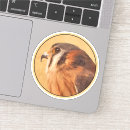Search for kestrel stickers Raptor