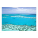 Search for great barrier reef posters Australasia