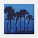 Search for daytona magnets Ocean