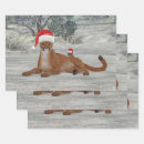 Search for lion christmas wrapping paper Funny