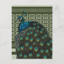 Search for bird lover postcards Elegant
