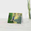 Search for bird tree cards Birds
