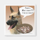 Search for danes magnets Dog