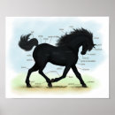 Search for horse stable posters Stallion