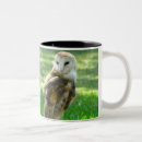 Search for two owls mugs Birds of prey