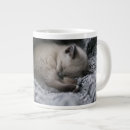 Search for baby kitten mugs Sleeping