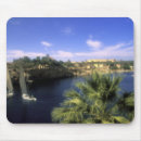 Search for nile mousepads River