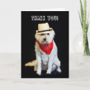 Search for hat cards White