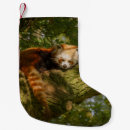 Search for panda christmas stockings Wildlife