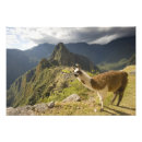 Search for andes posters Ruin