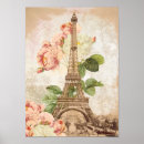 Search for damask rose posters Roses