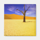 Search for site magnets Tree