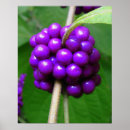 Search for clusters art Floral
