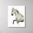 Search for prance posters Stallion