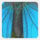 Search for swallowtail butterfly stickers Pretty