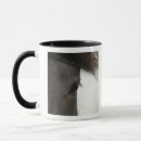 Search for horse eye mugs Outdoors