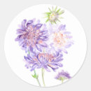 Search for violet flowers stickers Bloom