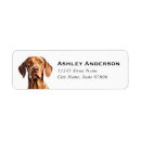 Search for vizsla return address labels Cute