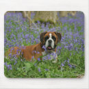 Search for a laying mousepads Dog