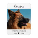 Search for pet memorials Death