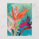 Search for bird postcards Floral