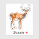 Search for white tail buck stickers Woodland
