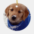 Search for golden retriever christmas decor Snow