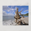 Search for shoreline postcards Sand