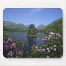 Search for scotland mousepads Wales