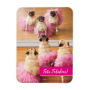 Search for tutu rectangular magnets Joke
