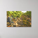 Search for wine vineyard canvas prints Farm