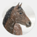 Search for horseback riders stickers Horse lovers