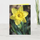 Search for environment cards Flowers