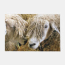 Search for sheep doormats Funny