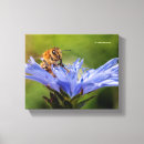 Search for pollen canvas prints Insect