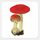Search for mycology stickers Goblincore