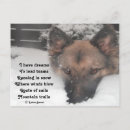 Search for gsd postcards Dogs