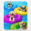 Search for swim mousepads Funny