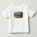 Search for colosseum tshirts Amphitheatre