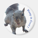 Search for cheeky magnets Cute