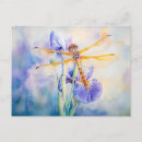 Search for restful postcards Watercolor