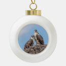 Search for birds nest christmas tree decorations Nature