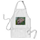 Search for owls aprons Wildlife