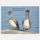 Search for feather kitchen dining Wildlife