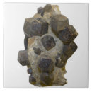 Search for cutout tiles Natural science